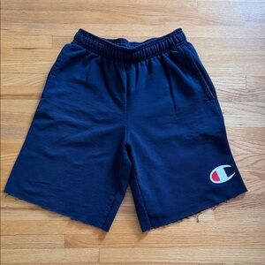 Champion Men’s Navy Shorts